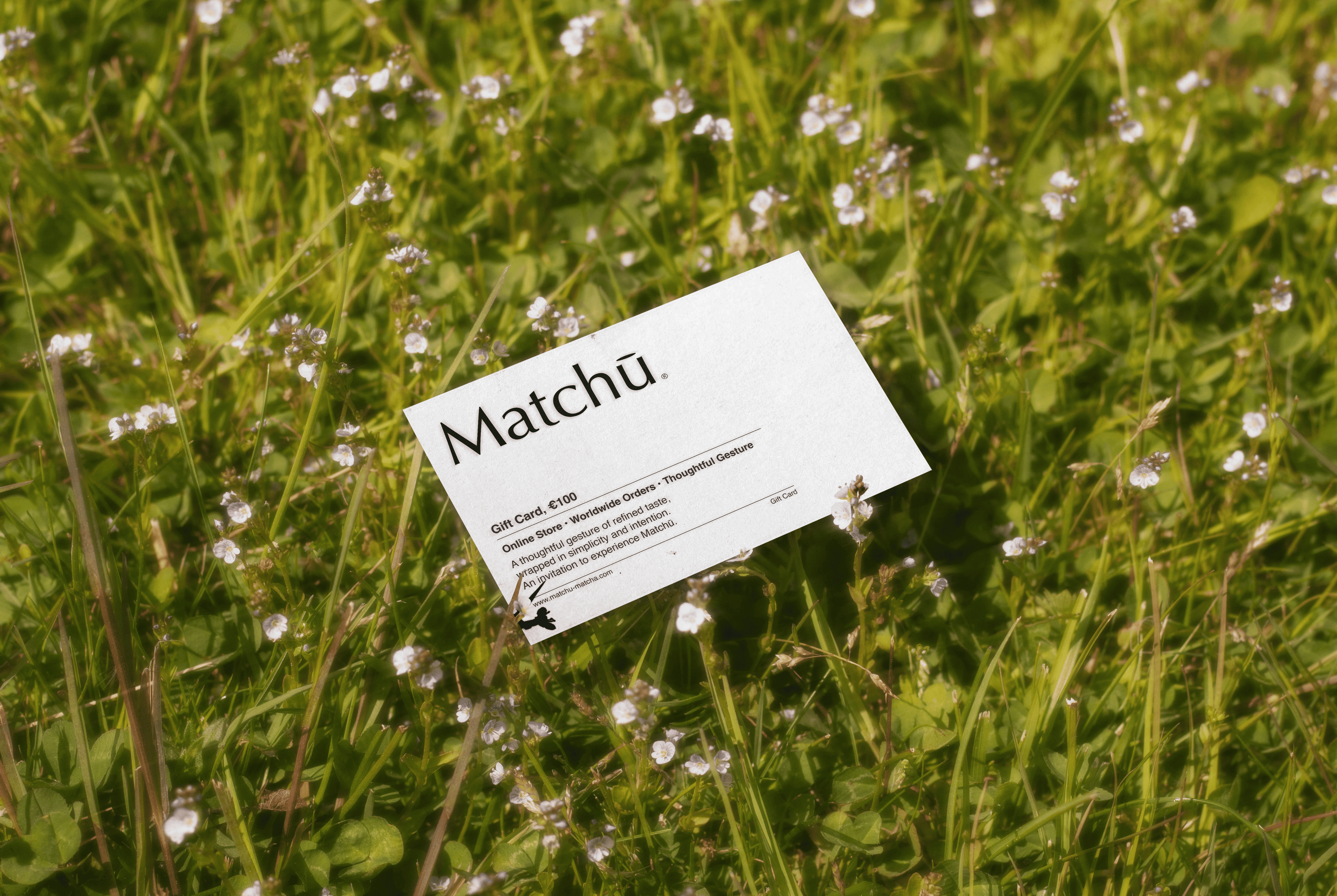 photo showing a Matchu Matcha Gift Card laying in green grass.